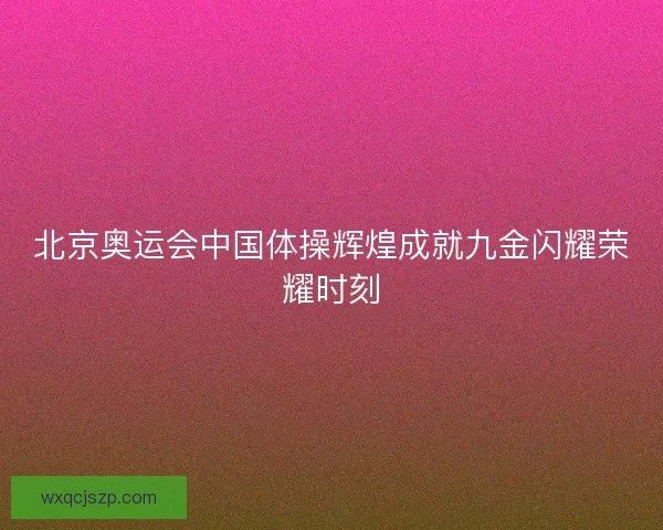 北京奥运会中国体操辉煌成就九金闪耀荣耀时刻
