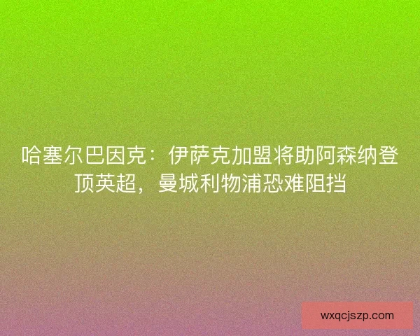 哈塞尔巴因克：伊萨克加盟将助阿森纳登顶英超，曼城利物浦恐难阻挡