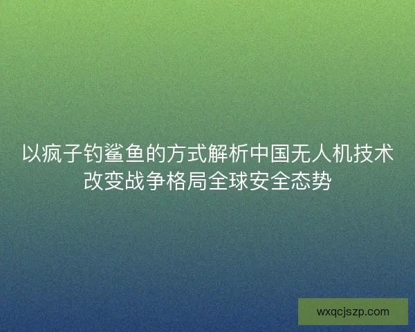 以疯子钓鲨鱼的方式解析中国无人机技术改变战争格局全球安全态势
